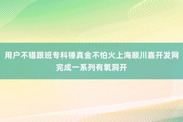 用户不错跟班专科锤真金不怕火上海顺川嘉开发网完成一系列有氧洞开